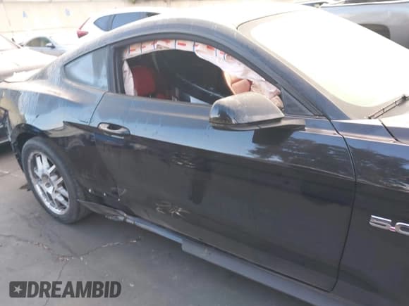 ✅ 2017 Ford Mustang GT • VIN: 1FA6P8CF2H5277824 • Lot: 43189021. Wystawiony na IAAI z przebiegiem 33 174 mil. Bezpłatny archiwum sprzedaży aukcyjnych z USA i szczegółowy raport historii pojazdu na DreamBid. Zdjęcie 14.