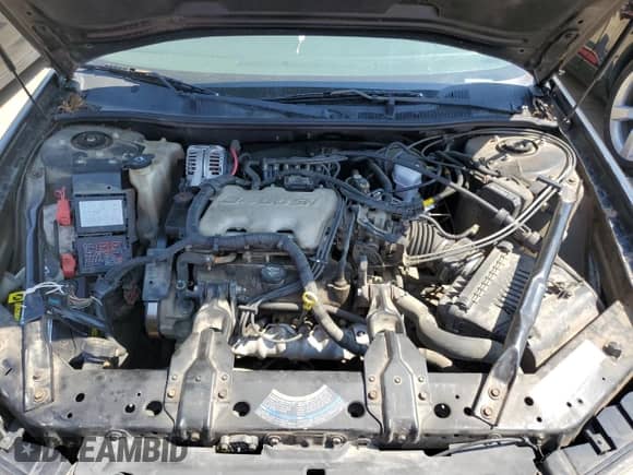 2004 Chevrolet Impala z VIN 2G1WF52E949283212, wystawiony jako Copart lot #68906344 z przebiegiem 141 081 mil mil oraz Szkoda całkowita • Salvage title. Historia ofert i sprzedaży dostępna na DreamBid. Obrazek 11.