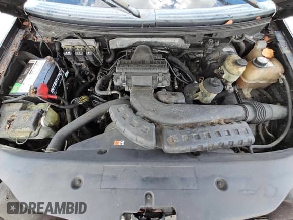 ✅ 2006 Ford F-150 XL • VIN: 1FTPX12V06NA88648 • Lot: 69427345. Wystawiony na Copart z przebiegiem 282 832 mil. Bezpłatny archiwum sprzedaży aukcyjnych z USA i szczegółowy raport historii pojazdu na DreamBid. Zdjęcie 11.