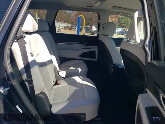 ✅ 2024 Kia Telluride S • VIN: 5XYP64GC9RG478848 • Lot: 90821355. Wystawiony na Copart z przebiegiem 20 880 mil. Bezpłatny archiwum sprzedaży aukcyjnych z USA i szczegółowy raport historii pojazdu na DreamBid. Zdjęcie 11.