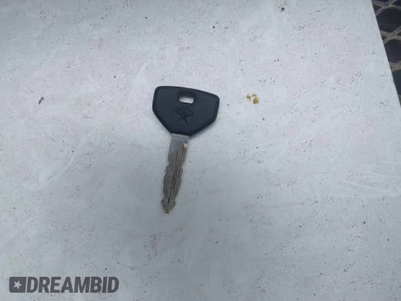 2000 Dodge Dakota with VIN 1B7FL26X9YS558172, listed as a IAAI auction lot 42543662 with 84,076 mi miles and . Bid and sale history available at DreamBid. Image 11.