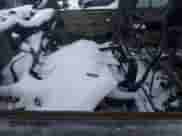 2004 Chevrolet Silverado 1500 с VIN 1GCEK19TX4Z350935, выставлен на аукционе Copart как лот 87701865 с пробегом Не указан миль и Чистый • Clean title. История ставок и продаж доступна на DreamBid. Изображение 7.