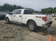 ✅ 2013 Ford F-150 XL • VIN: 1FTFW1EF9DKE66144 • Lot: 58134795. Wystawiony na Copart z przebiegiem 150 726 mil. Bezpłatny archiwum sprzedaży aukcyjnych z USA i szczegółowy raport historii pojazdu na DreamBid. Zdjęcie 2.