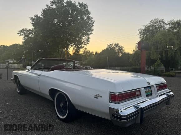 ✅ 1975 Buick LeSabre • VIN: 4P67J5X137131 • Lot: 60495125. Wystawiony na Copart z przebiegiem Nie podano. Bezpłatny archiwum sprzedaży aukcyjnych z USA i szczegółowy raport historii pojazdu na DreamBid. Zdjęcie 3.