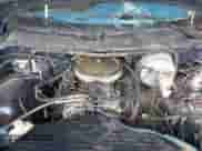 2001 Dodge 1500 with VIN 1B7HC16Y31S210305, listed as a IAAI auction lot 42423982 with Not provided miles and . Bid and sale history available at DreamBid. Image 10.