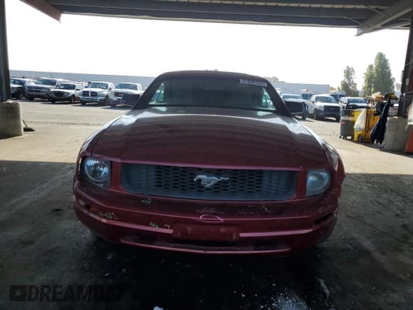 ✅ 2008 Ford Mustang Deluxe • VIN: 1ZVHT84N085136235 • Лот: 81880705. Опубликован ранее на Copart с пробегом 258 369 миль. Бесплатный доступ к архиву аукционных продаж из США и подробный отчёт об истории автомобиля на DreamBid. Изображение 5.
