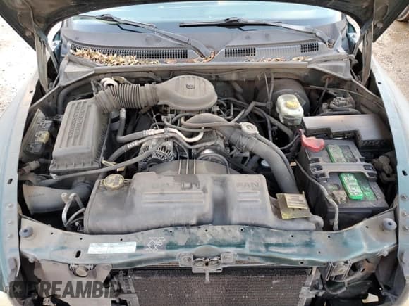 ✅ 2001 Dodge Dakota • VIN: 1B7GL22X51S315149 • Лот: 41628735. Опубликован ранее на Copart с пробегом 295 276 миль. Бесплатный доступ к архиву аукционных продаж из США и подробный отчёт об истории автомобиля на DreamBid. Изображение 11.