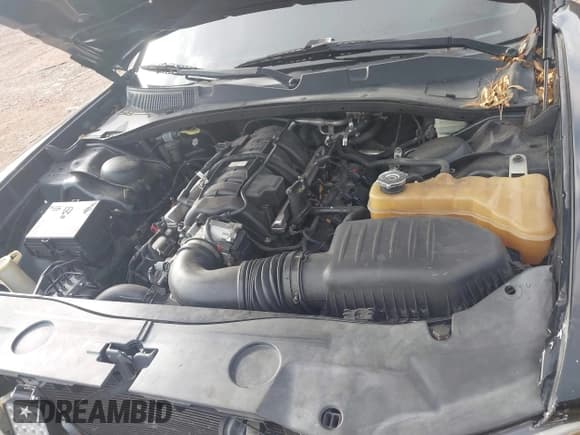 ✅ 2014 Dodge Charger RT Plus • VIN: 2C3CDXCT8EH361998 • Лот: 43343599. Опубликован ранее на IAAI с пробегом 11 289 миль. Бесплатный доступ к архиву аукционных продаж из США и подробный отчёт об истории автомобиля на DreamBid. Изображение 10.