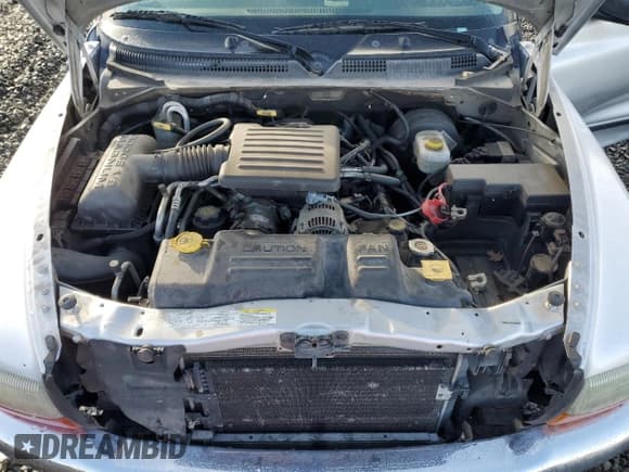 ✅ 2003 Dodge Dakota • VIN: 1D7GG42N53S239701 • Lot: 46103105. Listed on Copart with Not provided. Free auction sales archive from the USA and detailed vehicle history report at DreamBid. Image 11.