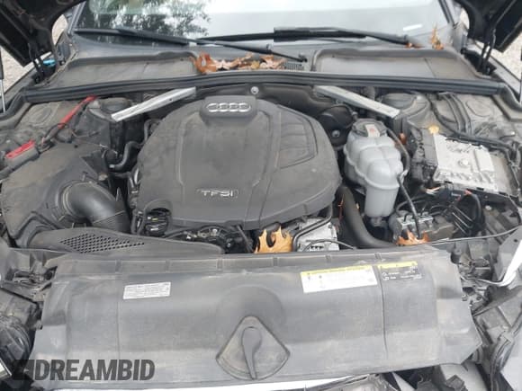 ✅ 2019 Audi A5 Sportback Premium • VIN: WAUANCF57KA058840 • Lot: 43656464. Wystawiony na IAAI z przebiegiem 65 578 mil. Bezpłatny archiwum sprzedaży aukcyjnych z USA i szczegółowy raport historii pojazdu na DreamBid. Zdjęcie 10.