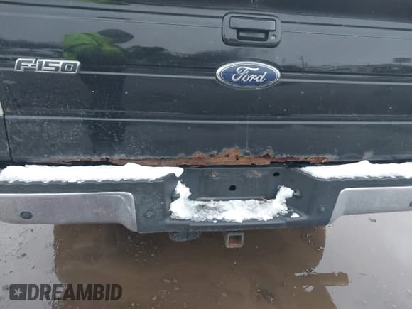 ✅ 2009 Ford F-150 XL • VIN: 1FTPW14V99FB36002 • Lot: 43814812. Listed on IAAI with Not provided. Free auction sales archive from the USA and detailed vehicle history report at DreamBid. Image 17.