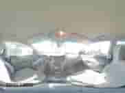 ✅ 2017 Hyundai Santa Fe 2.4L • VIN: 5XYZT3LB3HG433198 • Lot: 43227023. Wystawiony na Copart z przebiegiem Nie podano. Bezpłatny archiwum sprzedaży aukcyjnych z USA i szczegółowy raport historii pojazdu na DreamBid. Zdjęcie 14.