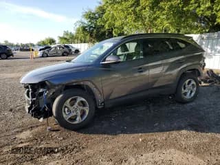 ✅ 2024 Hyundai Tucson Trend • VIN: KM8JCCDE5RU351636 • Lot: 68762974. Wystawiony na Copart z przebiegiem 2 696 mil. Bezpłatny archiwum sprzedaży aukcyjnych z USA i szczegółowy raport historii pojazdu na DreamBid. Zdjęcie 1.