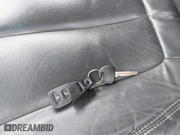 ✅ 2009 Hyundai Santa Fe Limited • VIN: 5NMSH13E79H283136 • Lot: 42897689. Listed on IAAI with 207,231 mi. Free auction sales archive from the USA and detailed vehicle history report at DreamBid. Image 11.