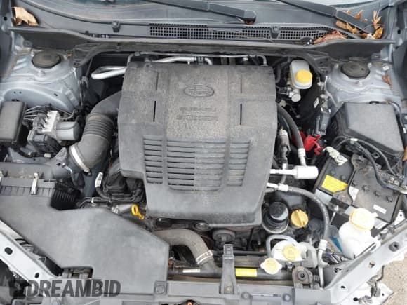 ✅ 2020 Subaru Forester Limited • VIN: JF2SKAUC1LH461275 • Лот: 43767162. Опубликован ранее на IAAI с пробегом 59 230 миль. Бесплатный доступ к архиву аукционных продаж из США и подробный отчёт об истории автомобиля на DreamBid. Изображение 10.