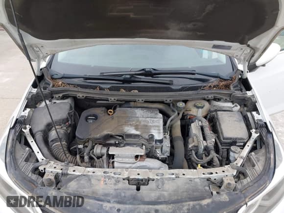 ✅ 2017 Chevrolet Cruze LT • VIN: 1G1BE5SM5H7189702 • Lot: 43065609. Listed on IAAI with 154,999 mi. Free auction sales archive from the USA and detailed vehicle history report at DreamBid. Image 10.