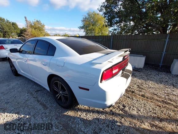 ✅ 2014 Dodge Charger RT Plus • VIN: 2C3CDXDT5EH156279 • Lot: 43451563. Wystawiony na IAAI z przebiegiem 186 209 mil. Bezpłatny archiwum sprzedaży aukcyjnych z USA i szczegółowy raport historii pojazdu na DreamBid. Zdjęcie 3.