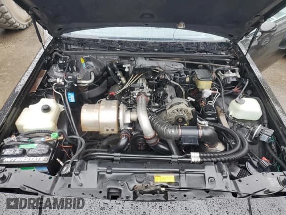 ✅ 1987 Buick Regal • VIN: 1G4GJ1177HP459697 • Лот: 85861225. Опубликован ранее на Copart с пробегом 40 054 миль. Бесплатный доступ к архиву аукционных продаж из США и подробный отчёт об истории автомобиля на DreamBid. Изображение 11.