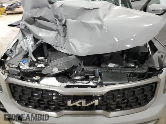 ✅ 2023 Kia Telluride SX Prestige X-Pro • VIN: 5XYP5DGC3PG390975 • Lot: 41502865. Wystawiony na Copart z przebiegiem 23 349 mil. Bezpłatny archiwum sprzedaży aukcyjnych z USA i szczegółowy raport historii pojazdu na DreamBid. Zdjęcie 13.