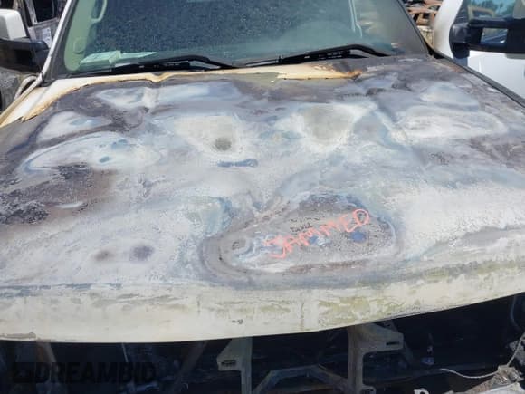 ✅ 2010 Chevrolet Silverado 1500 LTZ • VIN: 3GCRCTE01AG125062 • Lot: 42802999. Listed on IAAI with Not provided. Free auction sales archive from the USA and detailed vehicle history report at DreamBid. Image 10.