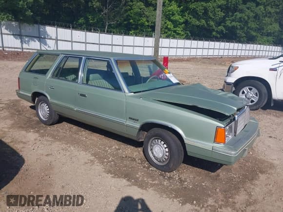 ✅ 1981 Plymouth Reliant • VIN: 1P3BK49D0BF241394 • Lot: 42341503. Wystawiony na IAAI z przebiegiem 72 629 mil. Bezpłatny archiwum sprzedaży aukcyjnych z USA i szczegółowy raport historii pojazdu na DreamBid. Zdjęcie 1.