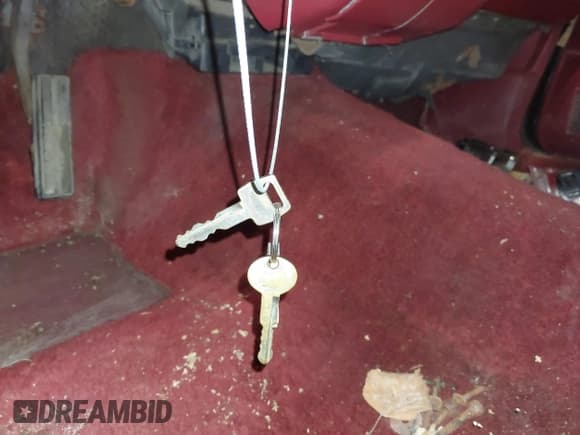 ✅ 1986 Ford Crown Victoria • VIN: 2FABP43F3GX116189 • Лот: 43109054. Опубликован ранее на IAAI с пробегом 48 955 миль. Бесплатный доступ к архиву аукционных продаж из США и подробный отчёт об истории автомобиля на DreamBid. Изображение 11.