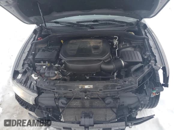 ✅ 2020 Dodge Durango SXT Plus • VIN: 1C4RDJAG4LC229863 • Lot: 45946985. Listed on Copart with 119,729 mi. Free auction sales archive from the USA and detailed vehicle history report at DreamBid. Image 12.