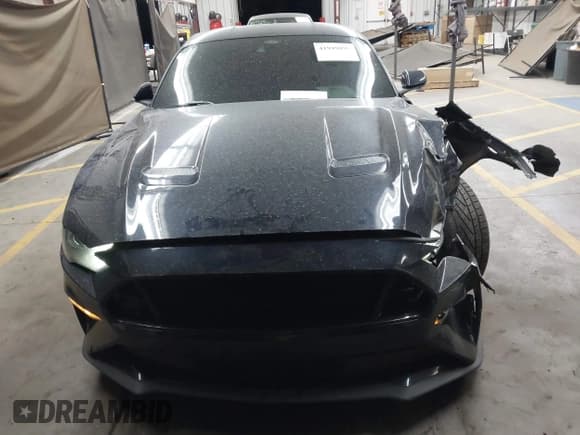 ✅ 2021 Ford Mustang EcoBoost • VIN: 1FA6P8TH0M5110017 • Lot: 41949095. Wystawiony na IAAI z przebiegiem 50 321 mil. Bezpłatny archiwum sprzedaży aukcyjnych z USA i szczegółowy raport historii pojazdu na DreamBid. Zdjęcie 12.