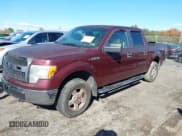 ✅ 2009 Ford F-150 XL • VIN: 1FTPW14V69FA21132 • Lot: 43499791. Listed on IAAI with 149,149 mi. Free auction sales archive from the USA and detailed vehicle history report at DreamBid. Image 2.