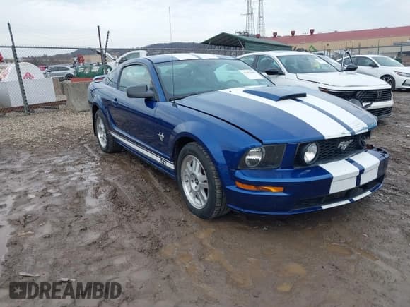✅ 2009 Ford Mustang GT • VIN: 1ZVHT82HX95119781 • Лот: 41482288. Опубликован ранее на IAAI с пробегом 70 757 миль. Бесплатный доступ к архиву аукционных продаж из США и подробный отчёт об истории автомобиля на DreamBid. Изображение 1.