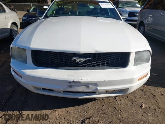 ✅ 2007 Ford Mustang Deluxe • VIN: 1ZVFT80N475351354 • Lot: 43556903. Wystawiony na IAAI z przebiegiem 250 306 mil. Bezpłatny archiwum sprzedaży aukcyjnych z USA i szczegółowy raport historii pojazdu na DreamBid. Zdjęcie 6.