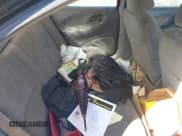 ✅ 1997 Mercury Sable GS • VIN: 1MELM50U7VA656293 • Lot: 41651281. Listed on IAAI with 136,024 mi. Free auction sales archive from the USA and detailed vehicle history report at DreamBid. Image 8.