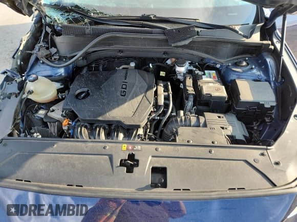 ✅ 2022 Hyundai Santa Fe SEL • VIN: 5NMS24AJ4NH465325 • Lot: 80360925. Wystawiony na Copart z przebiegiem 257 877 mil. Bezpłatny archiwum sprzedaży aukcyjnych z USA i szczegółowy raport historii pojazdu na DreamBid. Zdjęcie 12.