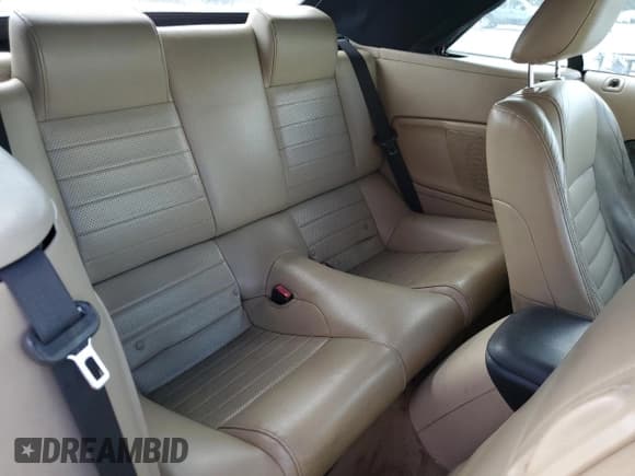 ✅ 2005 Ford Mustang GT Deluxe • VIN: 1ZVFT85H155194866 • Lot: 87469225. Listed on Copart with 179,049 mi. Free auction sales archive from the USA and detailed vehicle history report at DreamBid. Image 10.