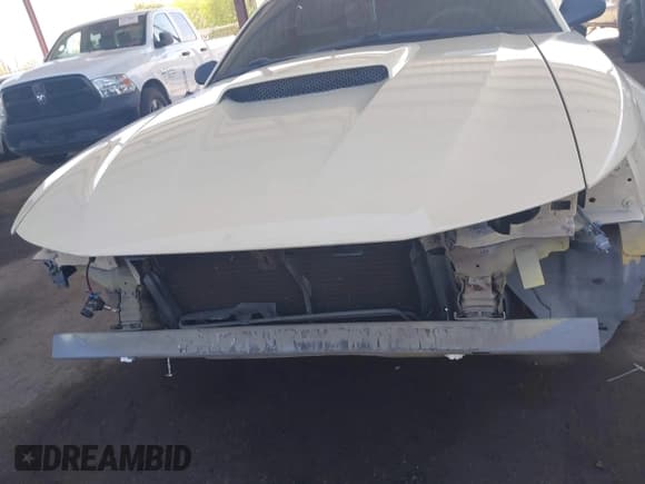 ✅ 2001 Ford Mustang GT Deluxe • VIN: 1FAFP45X81F103741 • Лот: 41880838. Опубликован ранее на IAAI с пробегом 171 092 миль. Бесплатный доступ к архиву аукционных продаж из США и подробный отчёт об истории автомобиля на DreamBid. Изображение 6.