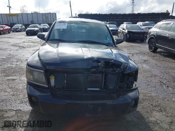 ✅ 2009 Dodge Dakota Bighorn/Lonestar • VIN: 1D7HW38P39S775050 • Lot: 43567558. Wystawiony na IAAI z przebiegiem 193 516 mil. Bezpłatny archiwum sprzedaży aukcyjnych z USA i szczegółowy raport historii pojazdu na DreamBid. Zdjęcie 13.