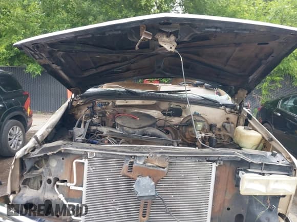 ✅ 1992 Chevrolet Silverado 1500 • VIN: 2GCEK19K3N1109316 • Лот: 42414747. Опубликован ранее на IAAI с пробегом 267 803 миль. Бесплатный доступ к архиву аукционных продаж из США и подробный отчёт об истории автомобиля на DreamBid. Изображение 10.