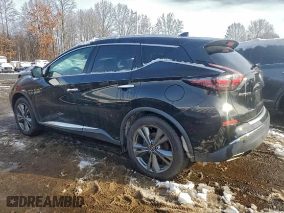 ✅ 2020 Nissan Murano Platinum • VIN: 5N1AZ2DS4LN115768 • Lot: 95020185. Listed on Copart with 36,347 mi. Free auction sales archive from the USA and detailed vehicle history report at DreamBid. Image 2.