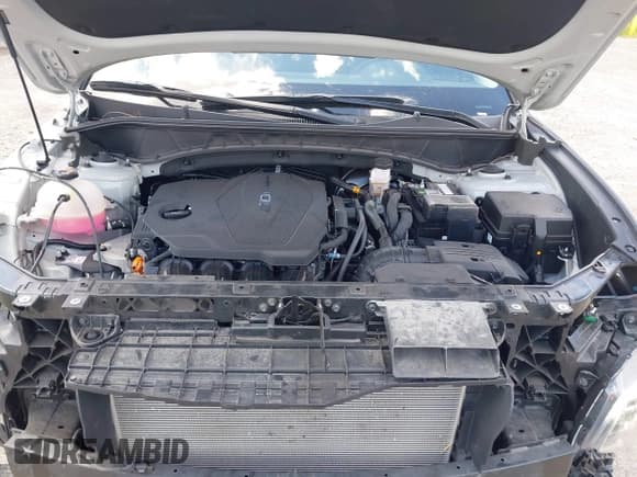 ✅ 2024 Hyundai Tucson SEL • VIN: 5NMJB3DE2RH383541 • Лот: 43126788. Опубликован ранее на IAAI с пробегом 36 277 миль. Бесплатный доступ к архиву аукционных продаж из США и подробный отчёт об истории автомобиля на DreamBid. Изображение 10.