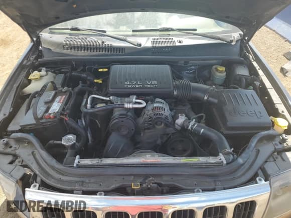 ✅ 2000 Jeep Grand Cherokee Laredo • VIN: 1J4GW48N0YC210235 • Lot: 60558905. Listed on Copart with 131,108 mi. Free auction sales archive from the USA and detailed vehicle history report at DreamBid. Image 12.