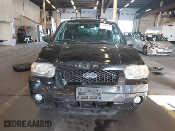✅ 2007 Ford Escape Limited • VIN: 1FMCU04187KA15988 • Лот: 42979991. Опубликован ранее на IAAI с пробегом 194 341 миль. Бесплатный доступ к архиву аукционных продаж из США и подробный отчёт об истории автомобиля на DreamBid. Изображение 13.