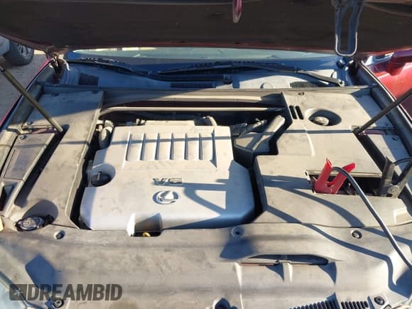 ✅ 2008 Lexus ES 330 • VIN: JTHBJ46G382214528 • Lot: 43836909. Listed on IAAI with 189,381 mi. Free auction sales archive from the USA and detailed vehicle history report at DreamBid. Image 10.