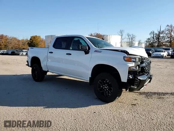 ✅ 2020 Chevrolet Silverado 1500 Custom Trail Boss • VIN: 1GCPYCEF1LZ364224 • Lot: 77033934. Wystawiony na Copart z przebiegiem 28 754 mil. Bezpłatny archiwum sprzedaży aukcyjnych z USA i szczegółowy raport historii pojazdu na DreamBid. Zdjęcie 13.