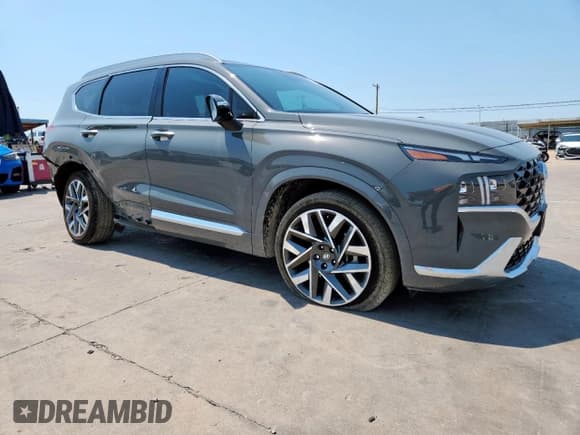 ✅ 2023 Hyundai Santa Fe Calligraphy • VIN: 5NMS54AL3PH617722 • Lot: 70292765. Listed on Copart with 43,027 mi. Free auction sales archive from the USA and detailed vehicle history report at DreamBid. Image 4.