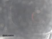 ✅ 2021 Tesla Model S Plaid • VIN: 5YJSA1E64MF452744 • Lot: 41375136. Listed on IAAI with Not provided. Free auction sales archive from the USA and detailed vehicle history report at DreamBid. Image 14.