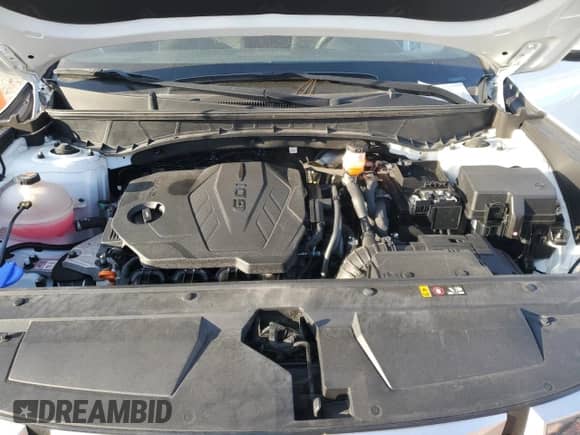 2022 Hyundai Santa Cruz SEL с VIN 5NTJBDAE3NH031402, выставлен на аукционе Copart как лот 47799165 с пробегом 48 156 миль миль и Списание • Salvage title. История ставок и продаж доступна на DreamBid. Изображение 11.