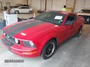 ✅ 2005 Ford Mustang Deluxe • VIN: 1ZVFT80N255233817 • Lot: 43579527. Listed on IAAI with 113,008 mi. Free auction sales archive from the USA and detailed vehicle history report at DreamBid. Image 2.