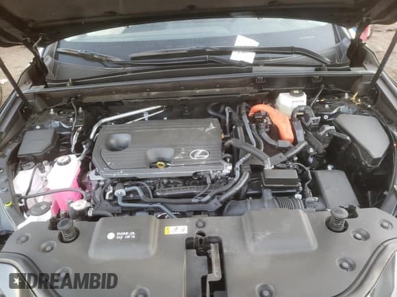 ✅ 2022 Lexus NX 350h • VIN: JTJAKCEZ7N2003557 • Lot: 68099982. Wystawiony na Copart z przebiegiem 4 577 mil. Bezpłatny archiwum sprzedaży aukcyjnych z USA i szczegółowy raport historii pojazdu na DreamBid. Zdjęcie 12.