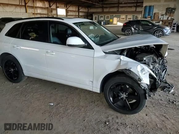 ✅ 2009 Audi Q5 Premium • VIN: WA1KK78R69A015764 • Лот: 94679715. Опубликован ранее на Copart с пробегом Не указан. Бесплатный доступ к архиву аукционных продаж из США и подробный отчёт об истории автомобиля на DreamBid. Изображение 13.