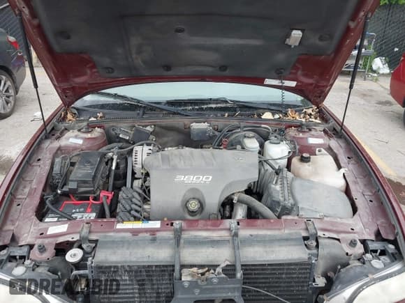 ✅ 1999 Buick Park Avenue • VIN: 1G4CW52K0X4644958 • Lot: 42410638. Wystawiony na IAAI z przebiegiem 151 917 mil. Bezpłatny archiwum sprzedaży aukcyjnych z USA i szczegółowy raport historii pojazdu na DreamBid. Zdjęcie 10.